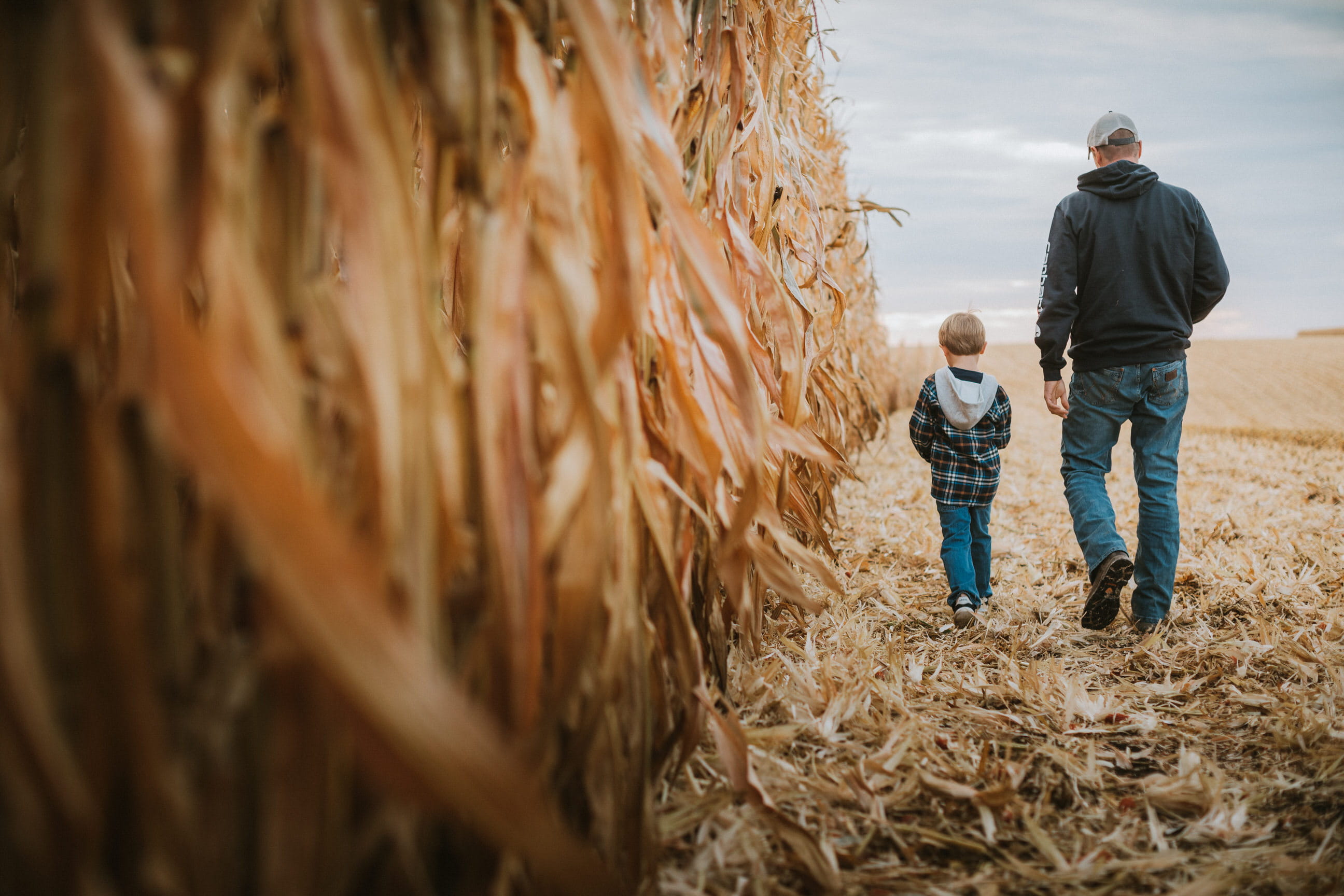 man and his young son walking in corn field